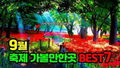 9월 꽃축제, 추석연휴 가볼만한곳, 평창 백일홍 축제, 포천 한탄강 가든 페스타, 평창효석문화제, 영광 불갑산 상사화축제, 원주 용수골 가을꽃축제, 가을 여행 갈만한곳