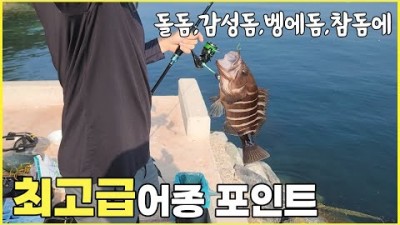 통영 연화도 돌돔, 감성돔, 벵에돔, 참돔 발판 편한 바다낚시 포인트