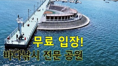 포항 양포항낚시공원 발판 편한 초보 바다낚시 원투낚시 포인트 가볼만한곳