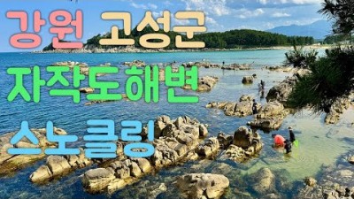 강원도 고성 자작도해변 스노클링 프리다이빙 명소 가볼만한곳