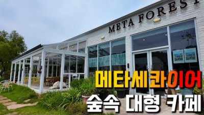 강화도 여행, 데이트코스, 메타포레스트 카페 서울근교 여행 필수 코스 가볼만한곳 추천