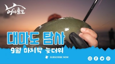 일본 대마도 바다낚시 어종 및 낚시채비, 포인트 추천