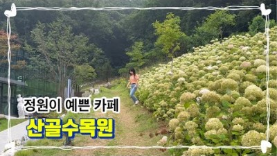 서울근교 시흥 물왕저수지 산골수목원 산책하기 좋은 아이와 같이 가볼만한 대형카페