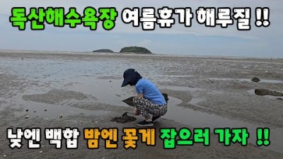 보령 독산해수욕장 백합 해루질 포인트, 야간 꽃게 해루질 가볼만한곳