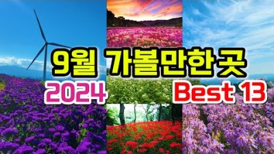 가을에 가면 좋은 국내여행지, 상림공원, 용궐산, 삼성궁, 소금산 그랜드밸리, 파도소리길, 스테이스워크, y자출렁다리, 국내여행 가볼만한곳