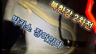 서울근교 북한강 민물장어 원투낚시 남양주 장어낚시 포인트