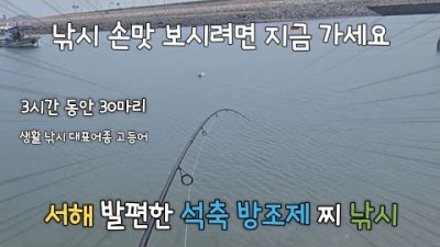 삼길포 대호방조제 고등어낚시 조황정보, 차박 가능한 서해 바다낚시 포인트