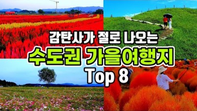 서울근교 이국적인 수도권 가을여행지, 양주 천만송이천일홍축제,임진강댑싸리공원, 철원고석정꽃밭, 산정호수둘레길, 축제 여행 가볼만한곳