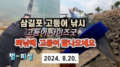 삼길포 고등어낚시, 서울근교 고등어 찌낚시 루어낚시 채비법, 조황정보