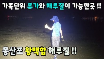 몽산포해수욕장 백합 맛조개 해루질, 서해 안전한 야간해루질 가볼만한곳