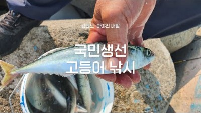 강원도 고성 아야진해변 갯바위 고등어낚시 카드채비 고등어 바다낚시 조황정보